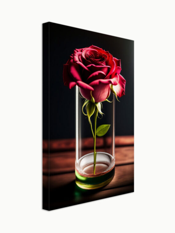 Rose & Glass